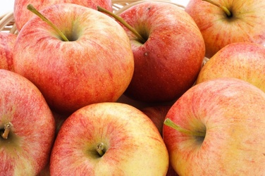 WASHINGTON GALA  APPLES