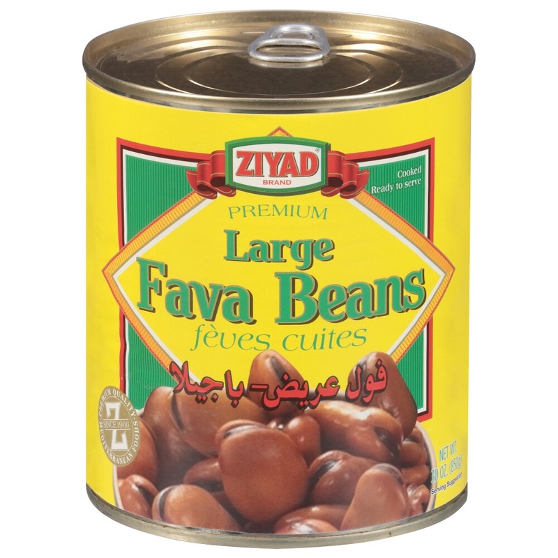 ZIYAD FAVA BEAN SA