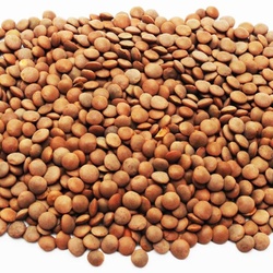 Brown Lentils 2LB