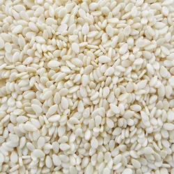 SESAME SEED WHITE