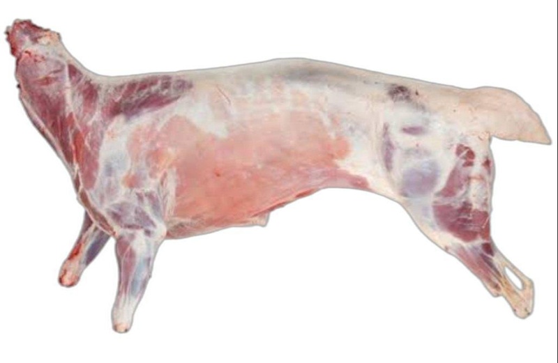 FROZEN GOAT SHOULDER
