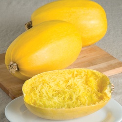 Spaghitti Squash