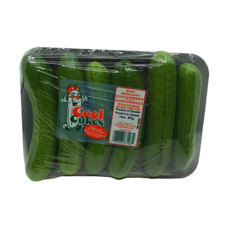 MINI CUCUMBER 12 OZ