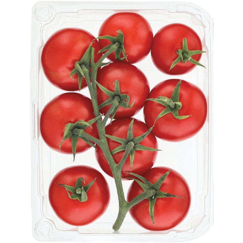 Campari Tomatoes  16oz