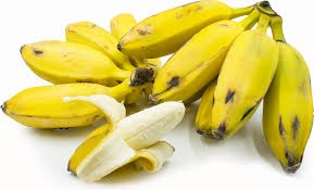 BURRO BANANA