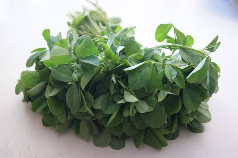 METHI LEAF EACH EACH