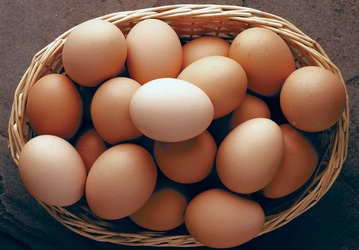 BROWN AMISH EGGS 20P