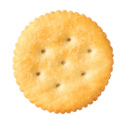 SALT BISCUIT