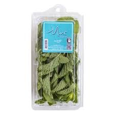 MINT  LEAVES  2.5  OZ
