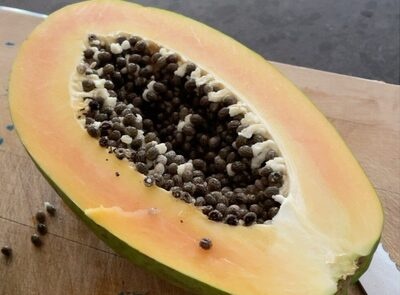yellow papaya