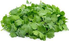 CILANTRO  EACH