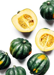 Acorn Squash