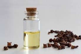 Clove Oil  30ml