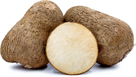 NAME YAM