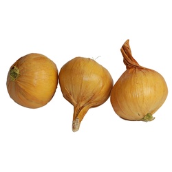 Small Yellow Onions
