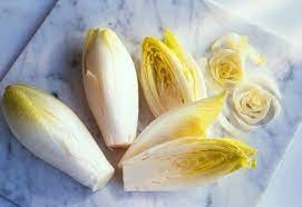 ENDIVE LUTTUCE