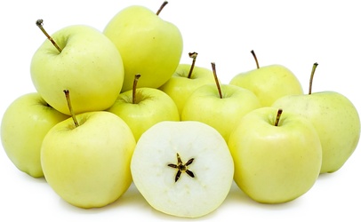 GOLD APPLES