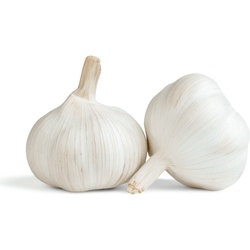 GARLIC  5 Pcs