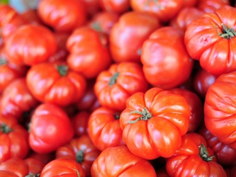 MICHIGAN BEEF STEAK TOMATOES