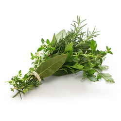 BASIL/ROSEMARYSAGE/OREGANO/TARRAGON BUNC