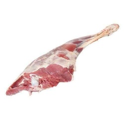 FRESH SPRING  GOAT