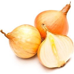 ONIONS 10 LB BAG