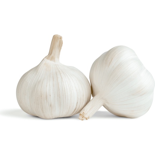 GARLIC  5 Pcs