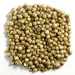 CORIANDER  SEEDS  4  OZ