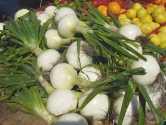 Sweet Onions