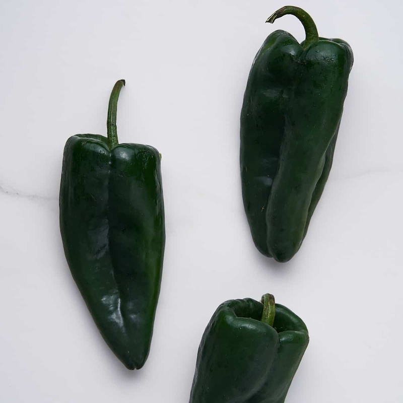 Poblano  PEPPER