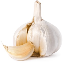 GARLIC  5 Pcs