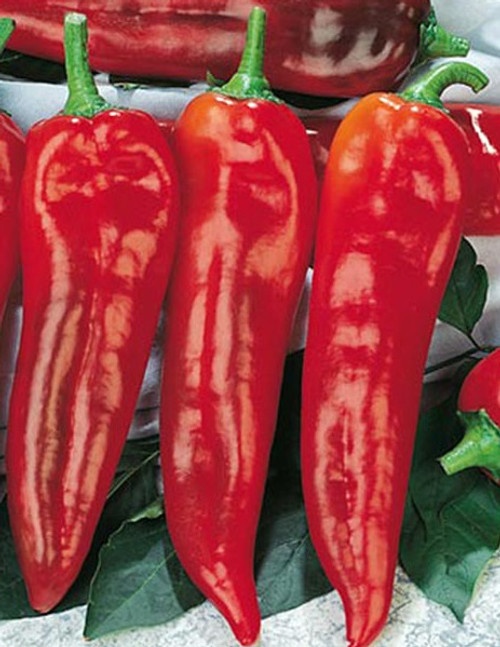 RED LONG SWEET PEPPERS