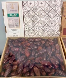 RAWDET  AL SHIRA  DATES  KHODARY DATES