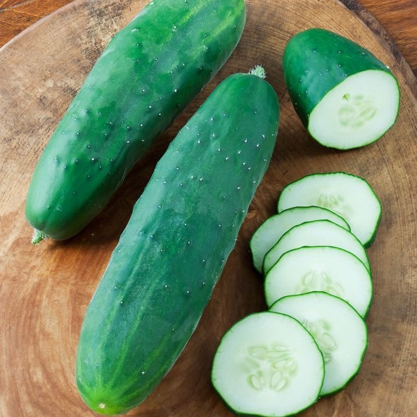 AMERICAN CUCUMBER