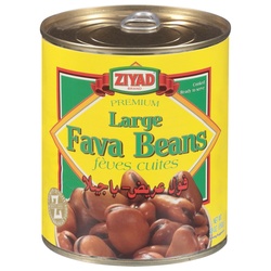 ZIYAD FAVA BEAN SA