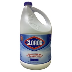 CLOROX REG 1 GALLON