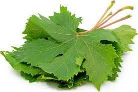 Grape leaves