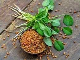 fennugreek seeds