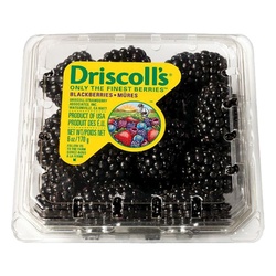 BLACKBERRIES 6oz