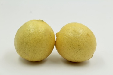 Small Yellow Lemon