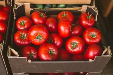 BEEF STEAK TOMATO BOX 25LB