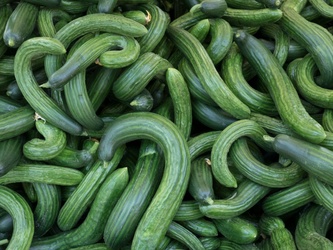CURLY  CUCUMBER