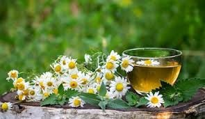 FRANCK CHAMOMILE TEA