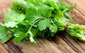 SHISH TAWOOK SEASONING
