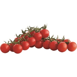 FLVOR BOMBS CHERRY TOMATOES