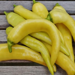 SWEET BANANA PEPPER