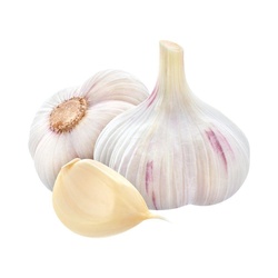 FRESH  GARLIC  5 PCS