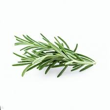 ROSEMARY