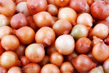 SMALL YELLOW ONION