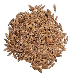 CUMIN WHOLE 6 OZ